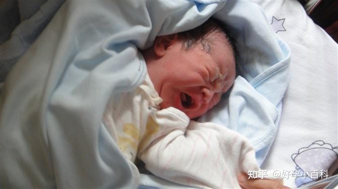 五个月的试管婴儿宝宝会什么