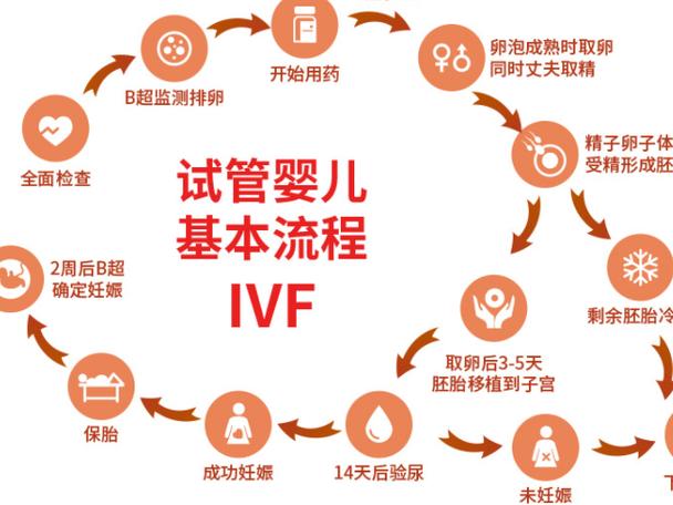 三代供卵试管婴儿宝宝打喷嚏是什么原因