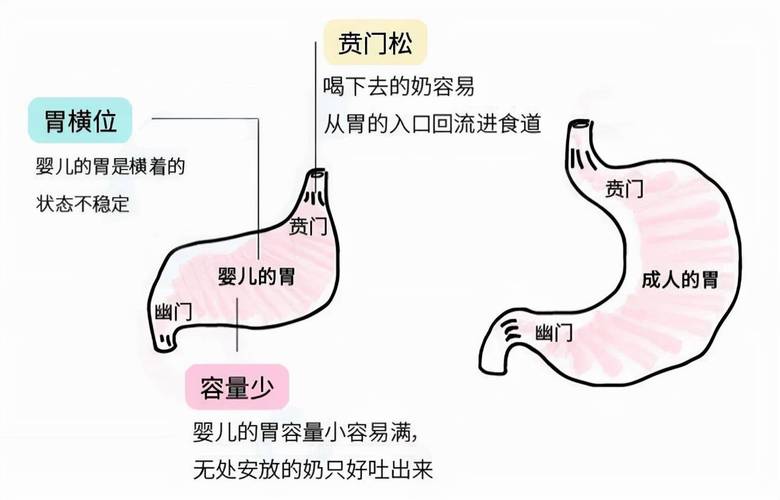 一岁半代怀的宝宝吃什么吐什么